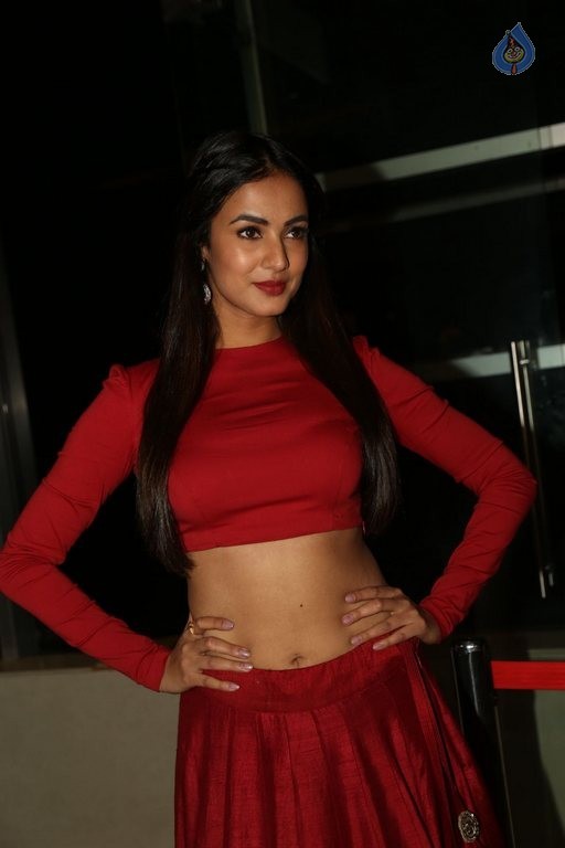 Sonal Chauhan at Size Zero Show - 20 / 40 photos