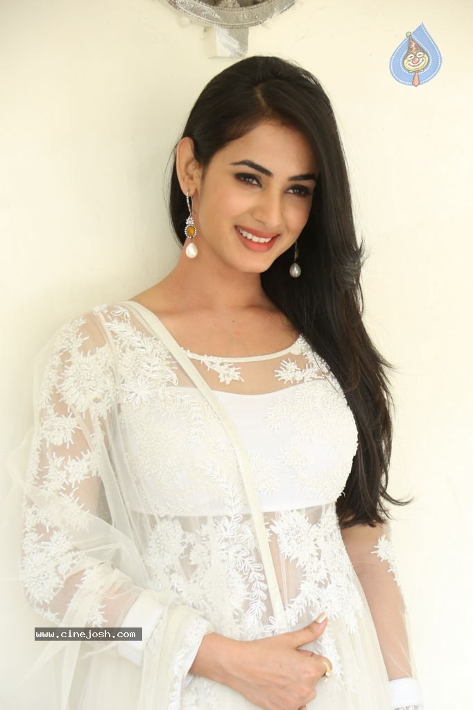 Sonal Chauhan Hot Photos - 26 / 100 photos