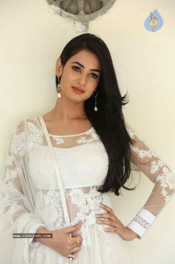 Sonal Chauhan Hot Photos - 29 / 100 photos
