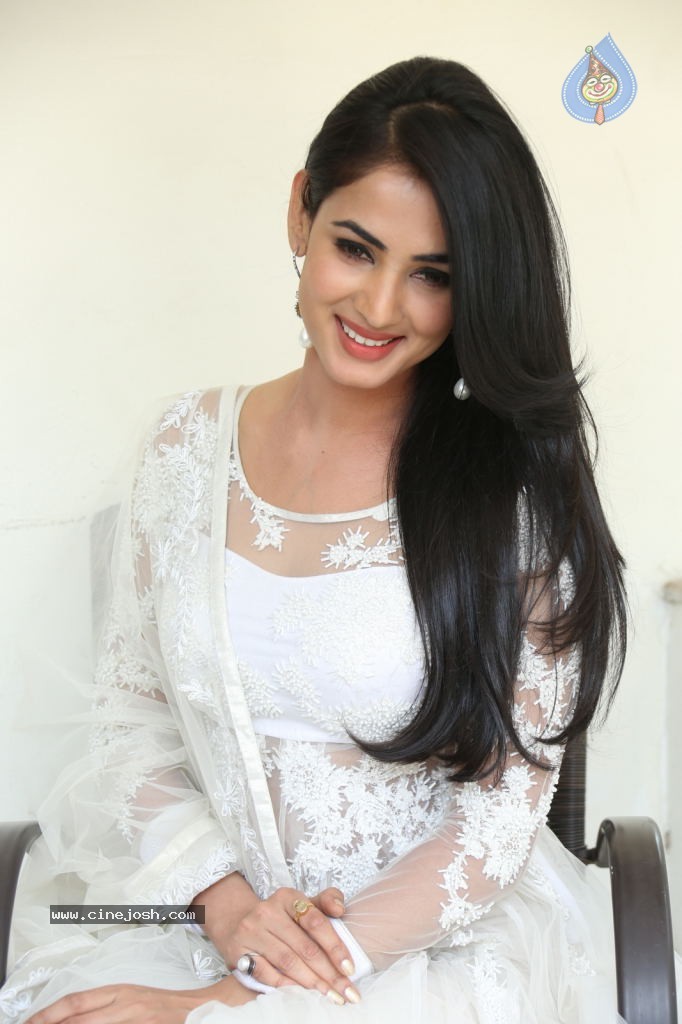 Sonal Chauhan Hot Photos - 33 / 100 photos
