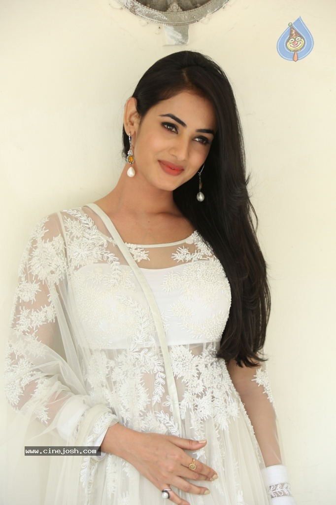 Sonal Chauhan Hot Photos - 42 / 100 photos