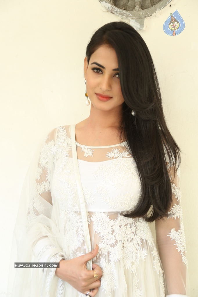 Sonal Chauhan Hot Photos - 51 / 100 photos