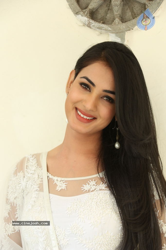 Sonal Chauhan Hot Photos - 63 / 100 photos