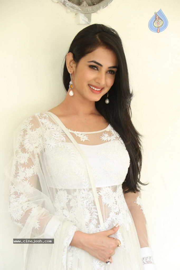 Sonal Chauhan Hot Photos - 74 / 100 photos