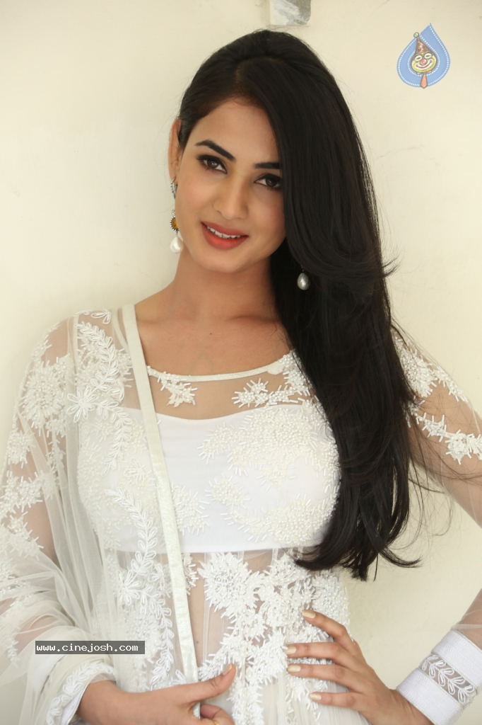 Sonal Chauhan Hot Photos - 79 / 100 photos