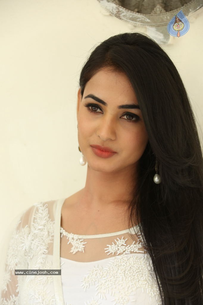 Sonal Chauhan Hot Photos - 87 / 100 photos