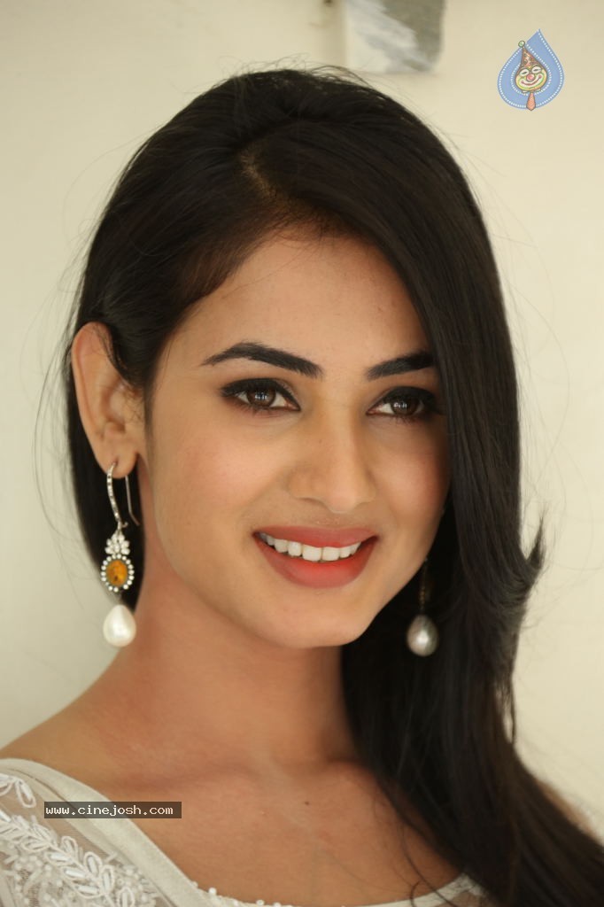 Sonal Chauhan Hot Photos - 91 / 100 photos