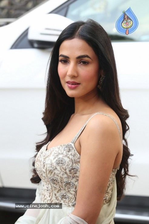 Sonal Chauhan Interview Photos - 20 / 34 photos