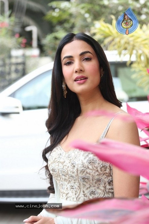 Sonal Chauhan Interview Photos - 30 / 34 photos