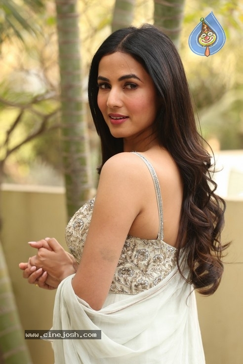 Sonal Chauhan Interview Photos - 31 / 34 photos