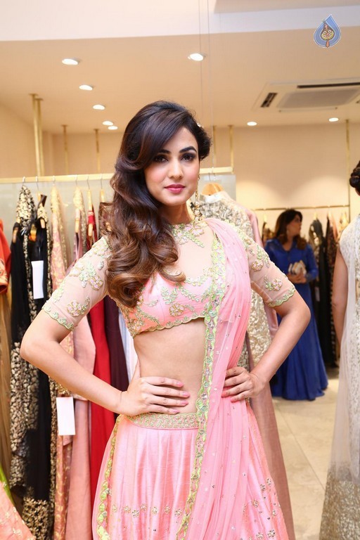 Sonal Chauhan New Gallery - 1 / 39 photos