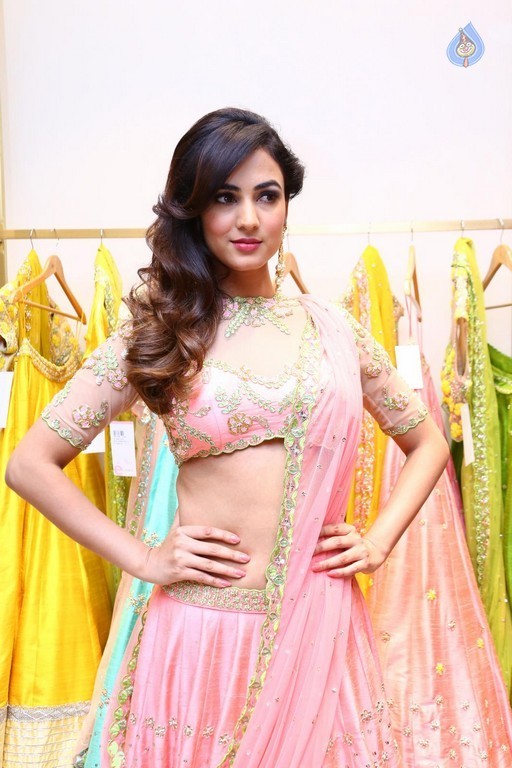 Sonal Chauhan New Gallery - 10 / 39 photos