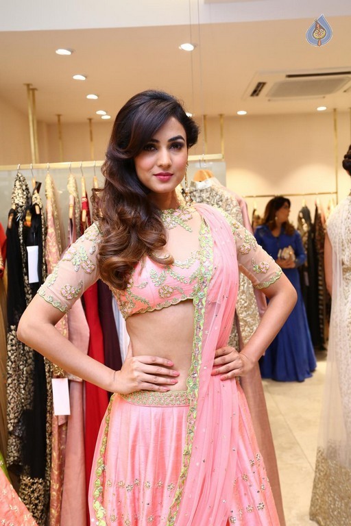 Sonal Chauhan New Gallery - 12 / 39 photos