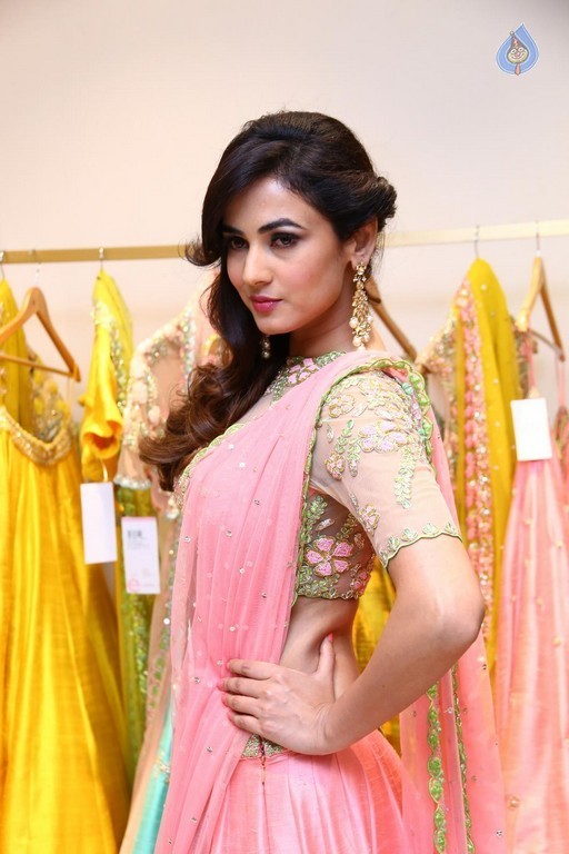 Sonal Chauhan New Gallery - 33 / 39 photos