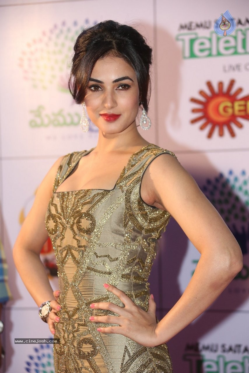 Sonal Chauhan New Stills - 38 / 70 photos