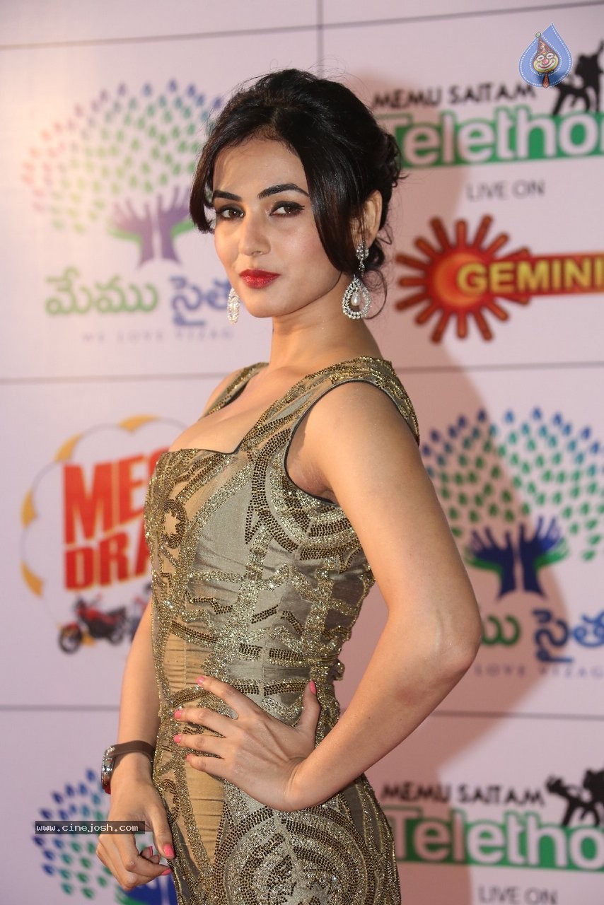 Sonal Chauhan New Stills - 55 / 70 photos