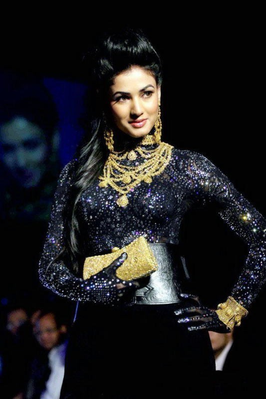 Sonal Chauhan Photo Shoot Stills - 8 / 38 photos