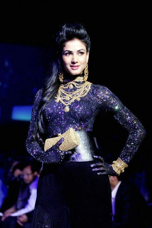 Sonal Chauhan Photo Shoot Stills - 17 / 38 photos