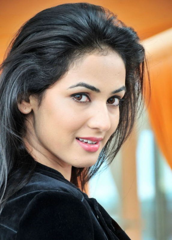 Sonal Chauhan Photo Shoot Stills - 20 / 38 photos