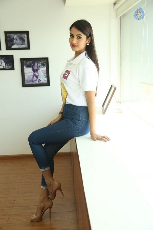 Sonal Chauhan Size Zero Interview Photos - 45 / 63 photos
