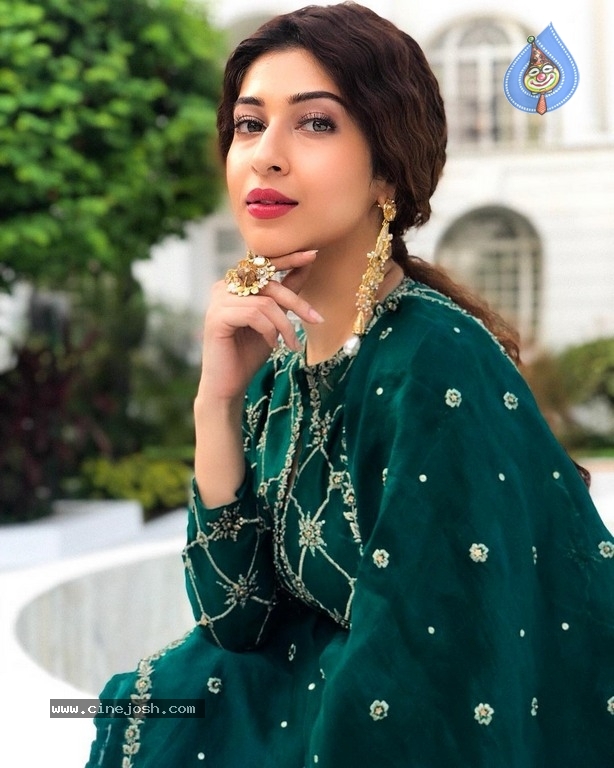 Sonarika Bhadoria Gallery - 2 / 17 photos