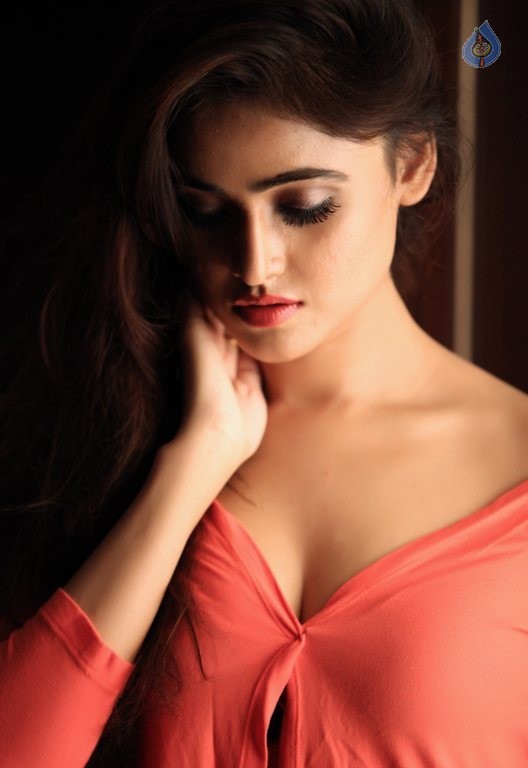 Sony Charishta New Photos - 10 / 10 photos