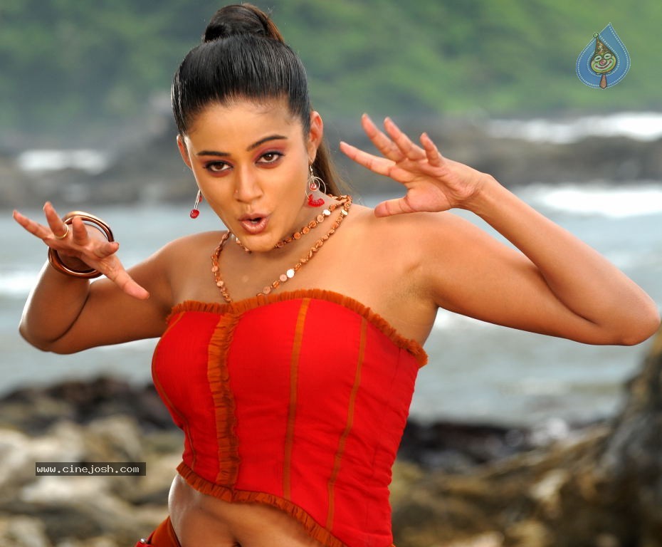 Priyamani Spicy Stills - 6 / 68 photos