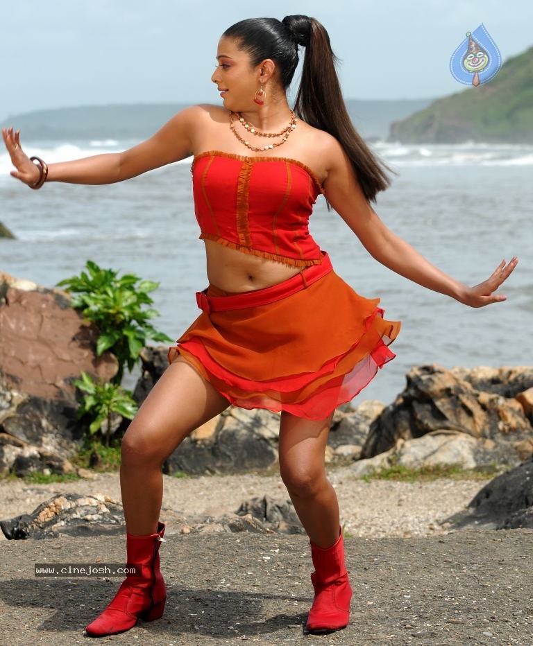 Priyamani Spicy Stills - 8 / 68 photos