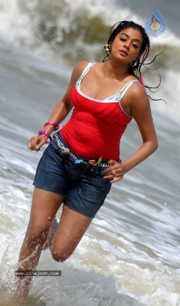 Priyamani Spicy Stills - 43 / 68 photos