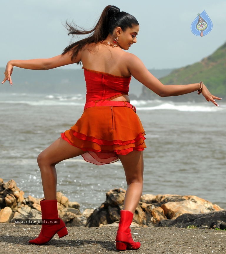 Priyamani Spicy Stills - 51 / 68 photos