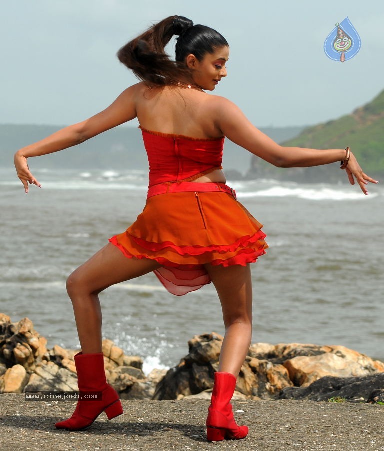 Priyamani Spicy Stills - 63 / 68 photos