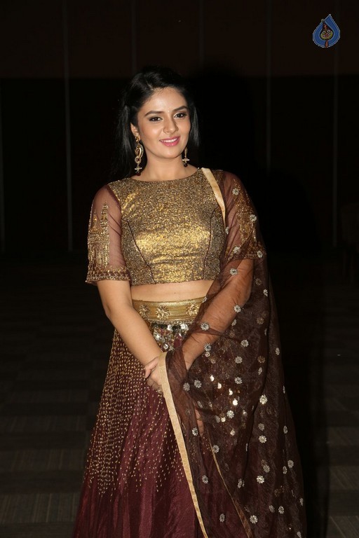 Sree Mukhi New Pics - 39 / 41 photos