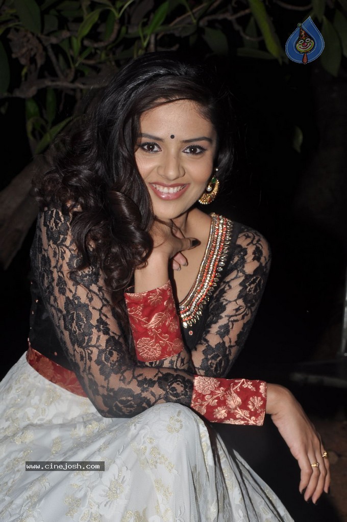 Sree Mukhi Stills - 14 / 76 photos