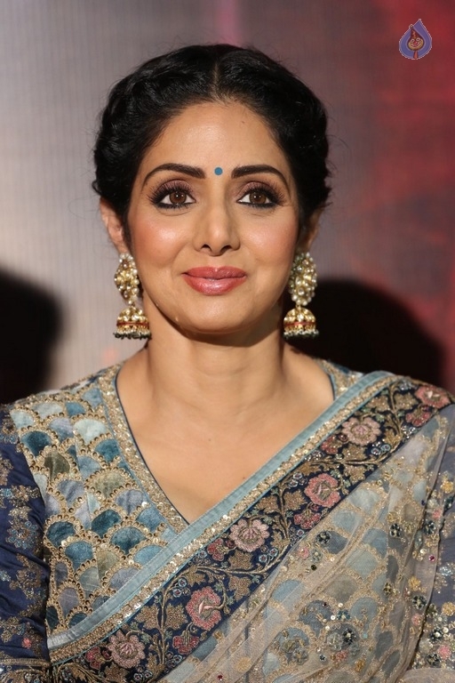 Sridevi Kapoor Photos - 24 / 38 photos