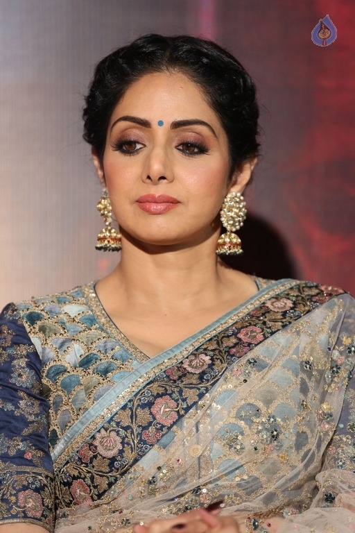 Sridevi Kapoor Photos - 29 / 38 photos