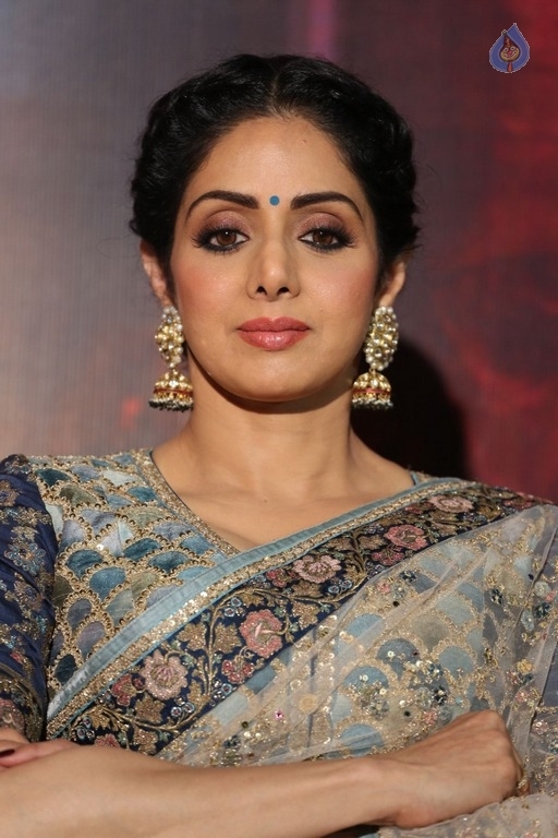 Sridevi Kapoor Photos - 36 / 38 photos