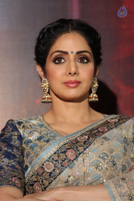 Sridevi Kapoor Photos - 37 / 38 photos