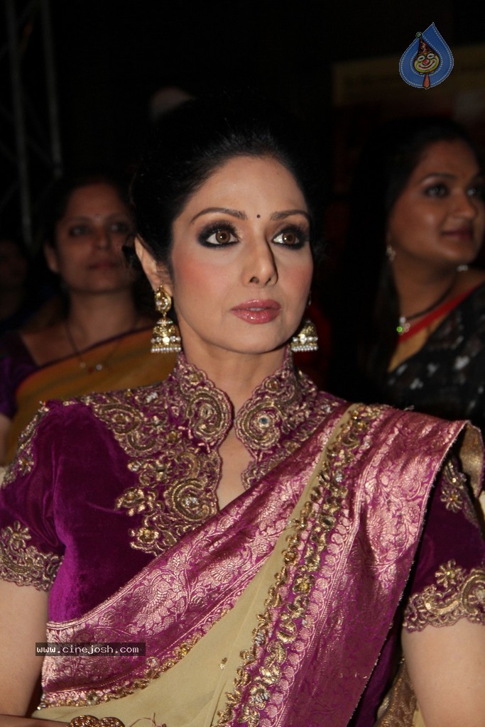 Sridevi Latest Stills - 2 / 71 photos