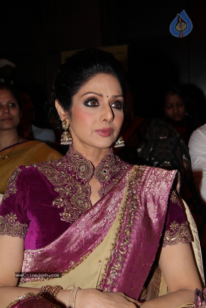 Sridevi Latest Stills - 7 / 71 photos