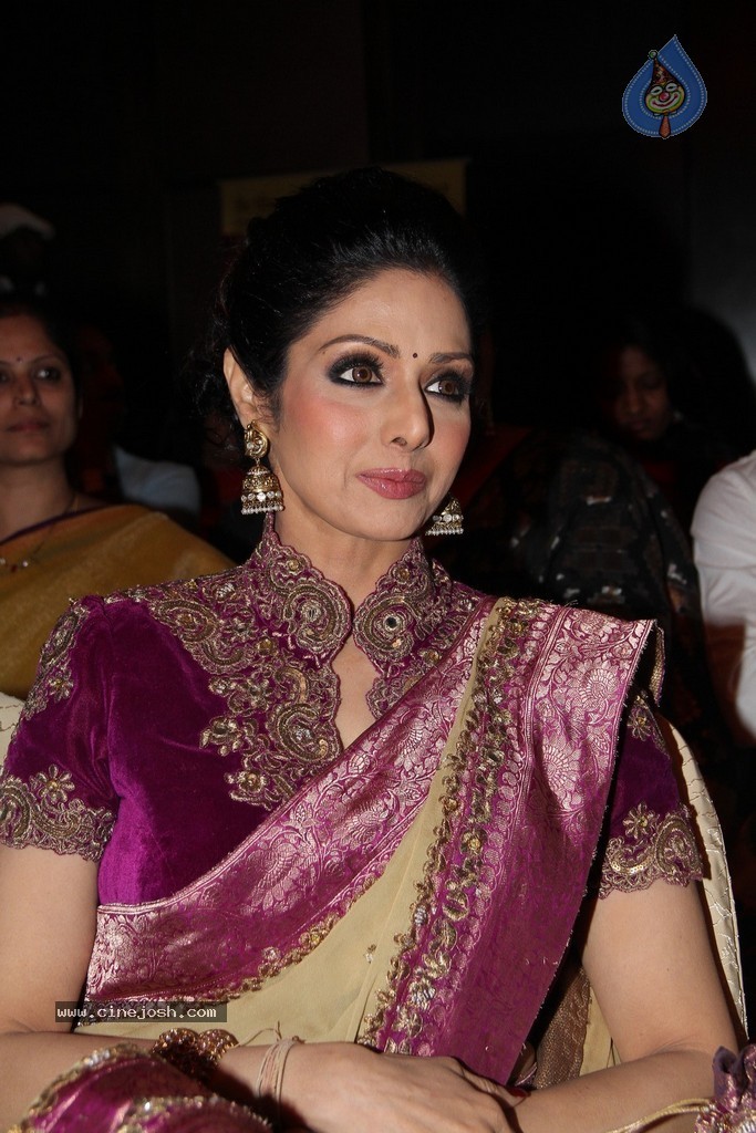 Sridevi Latest Stills - 9 / 71 photos