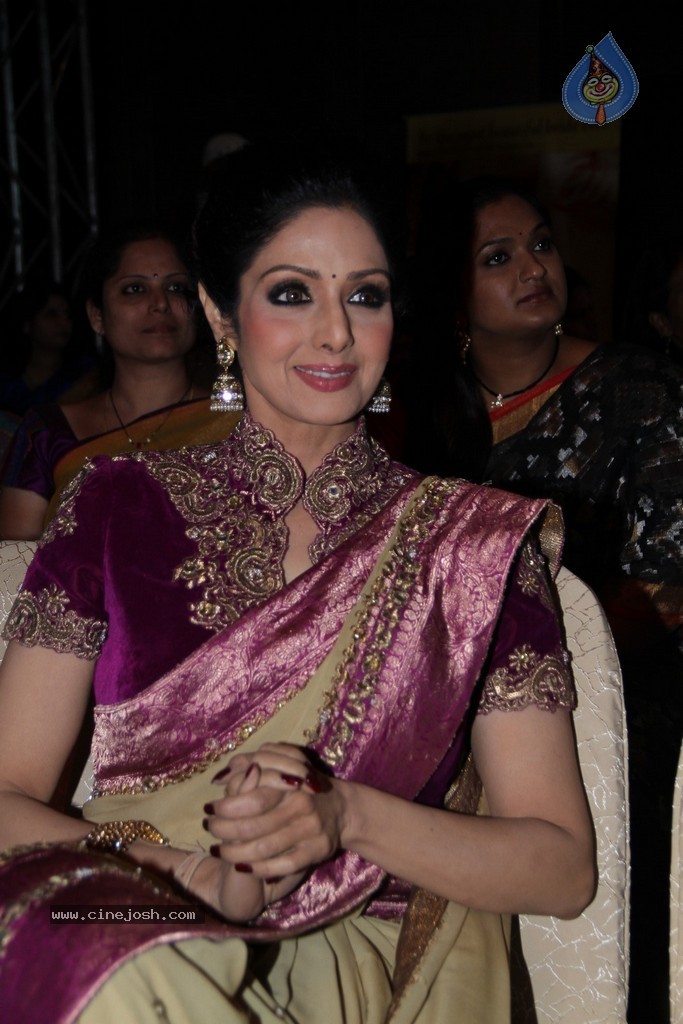 Sridevi Latest Stills - 11 / 71 photos