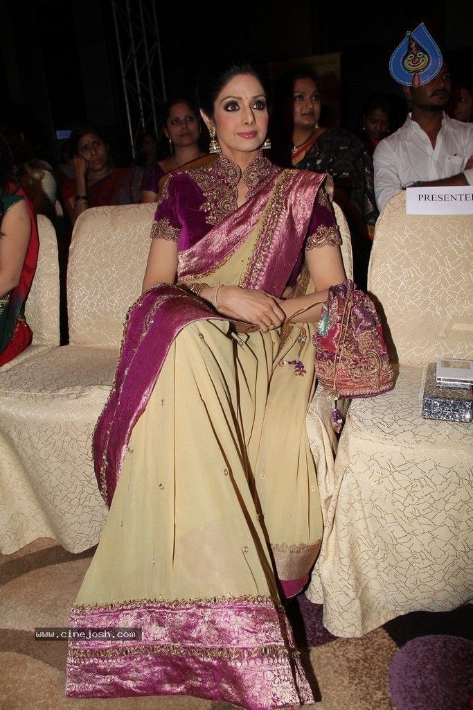 Sridevi Latest Stills - 12 / 71 photos