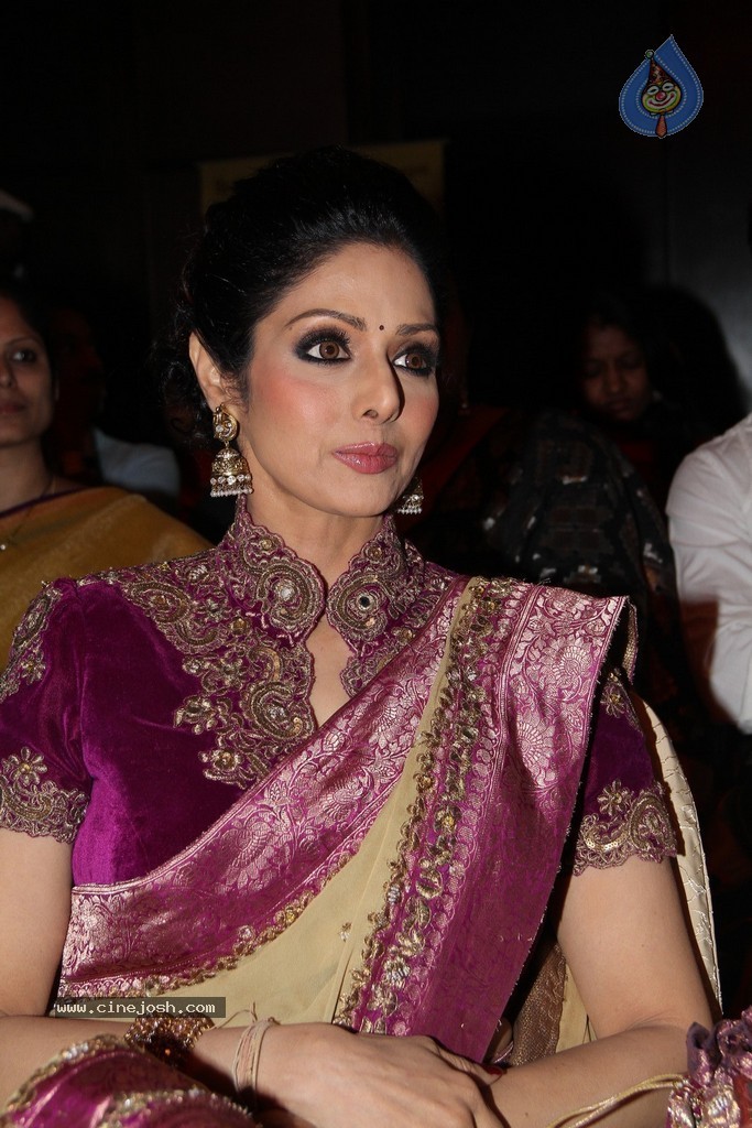 Sridevi Latest Stills - 13 / 71 photos