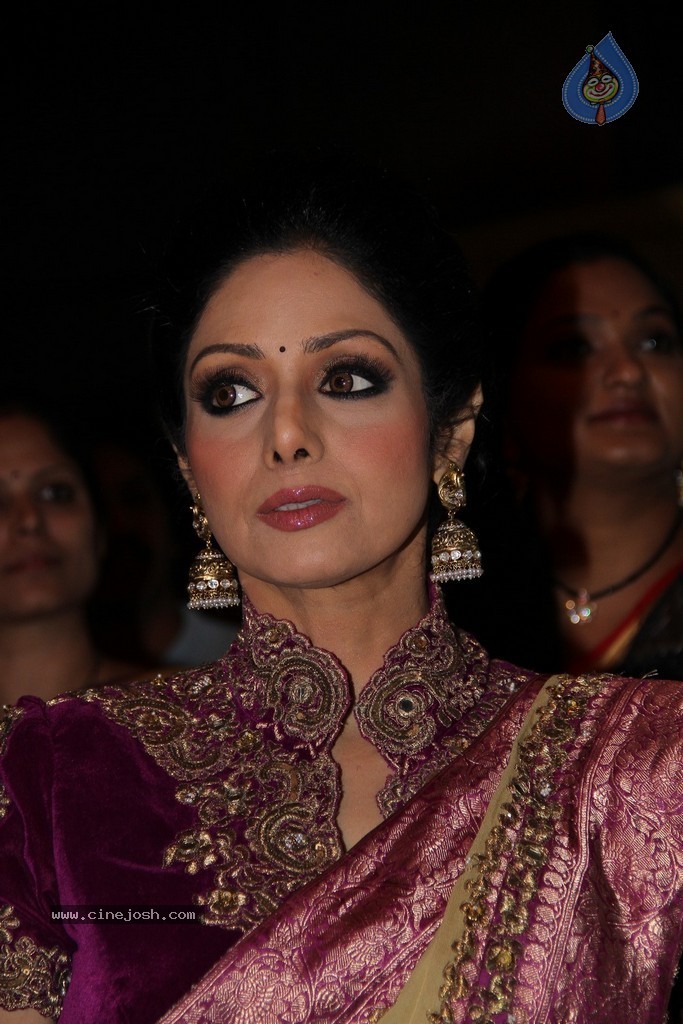 Sridevi Latest Stills - 15 / 71 photos