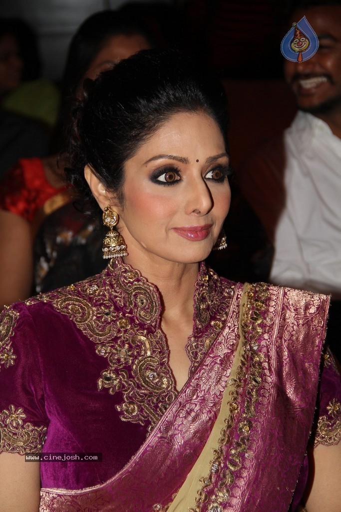 Sridevi Latest Stills - 17 / 71 photos