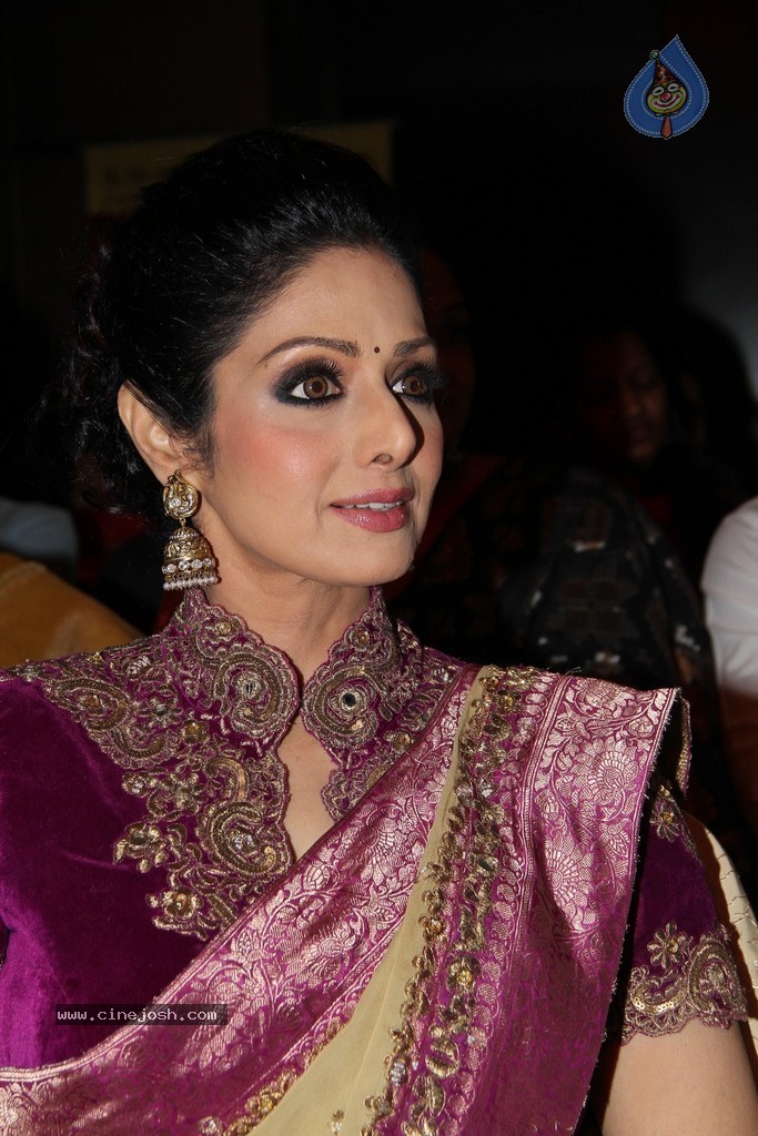 Sridevi Latest Stills - 18 / 71 photos