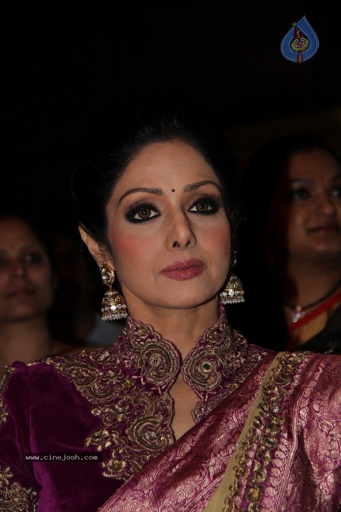 Sridevi Latest Stills - 19 / 71 photos