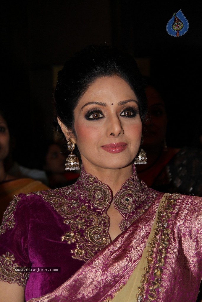 Sridevi Latest Stills - 23 / 71 photos