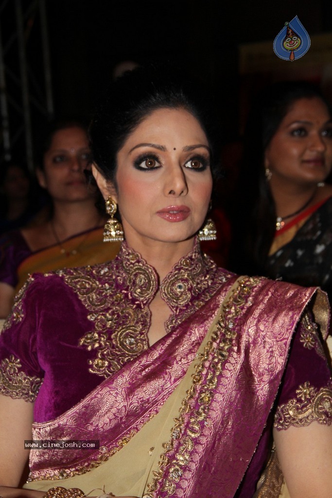 Sridevi Latest Stills - 25 / 71 photos