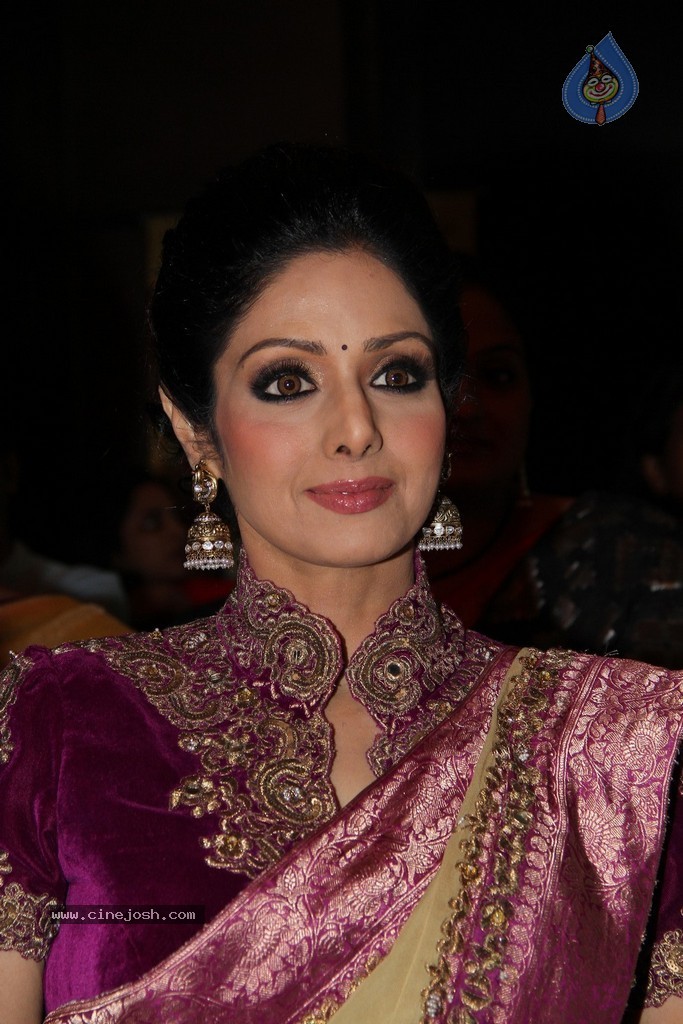 Sridevi Latest Stills - 26 / 71 photos